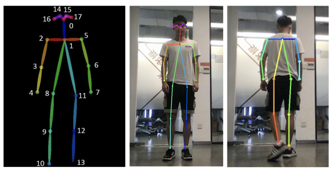 当姿态估计算法遇上《本草纲目》，看“刘畊宏男孩”如何驱动虚拟人