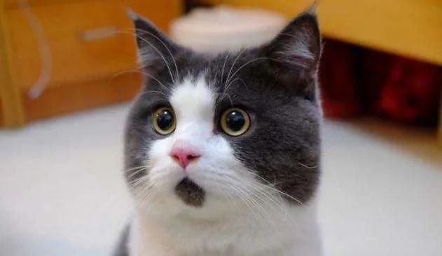 微信聊天内容可以被监听吗