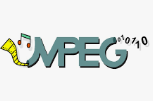 MPEG 呼吁使用基于学习的视频编解码器，用于质量评估研究