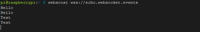 使用 Websocat 连接到 WebSocket 服务器