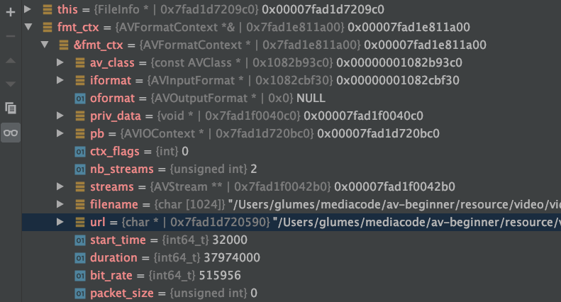 如何通过 FFmpeg 代码来获取文件信息