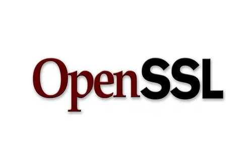 OpenSSL 3.5 Alpha 1 发布，搭载服务器端 QUIC