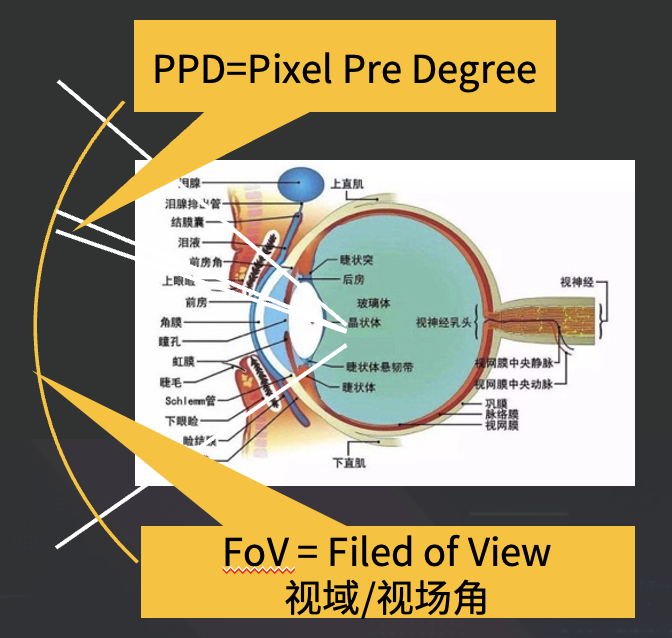 PPIO王闻宇：深度解读苹果首款MR眼镜及其对元宇宙技术路线的启示