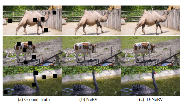D-NeRV：面向不同视频的可扩展神经表示 | CVPR 2023