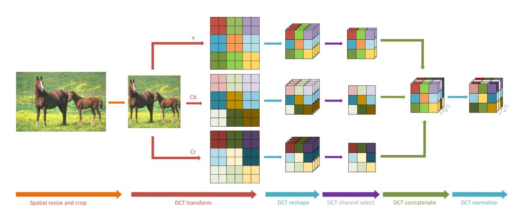 一种频域深度学习：提高网络准确性并减少输入数据大小、降低带宽压力 | CVPR 2020