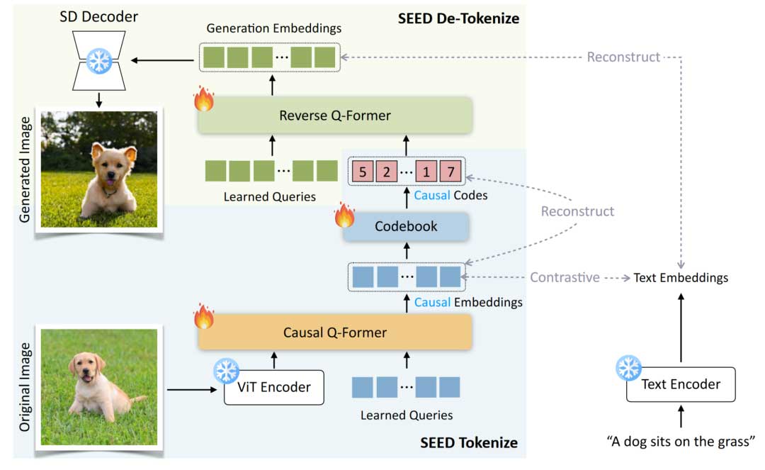 SEED:在大语言模型中播下一颗视觉的"种子"