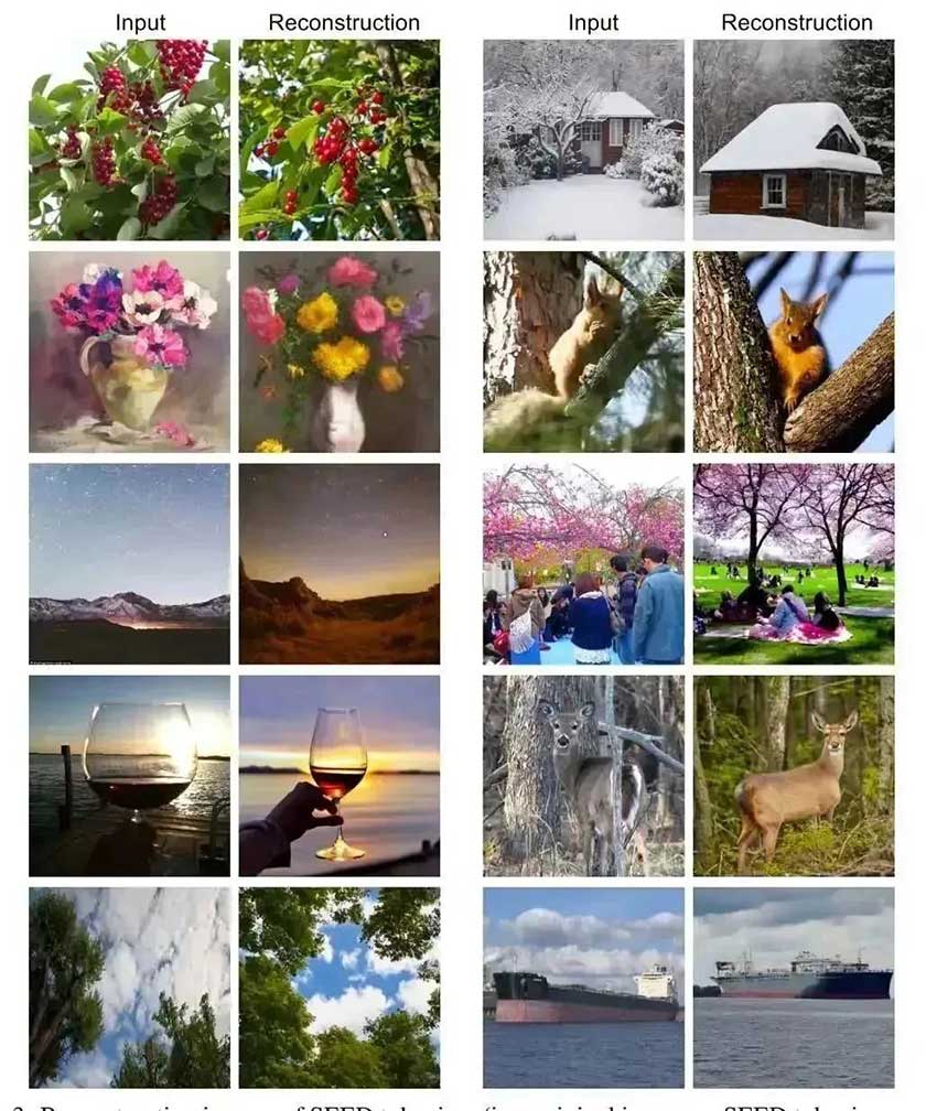 SEED:在大语言模型中播下一颗视觉的"种子"