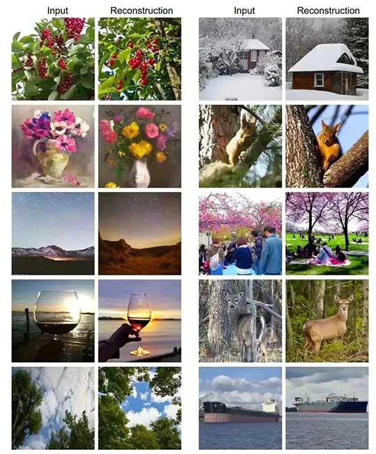 SEED:在大语言模型中播下一颗视觉的"种子"