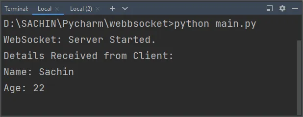 如何用 Python 创建 WebSocket 服务器和客户端