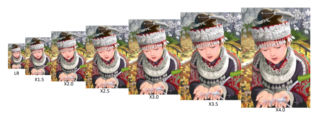 超分辨率的任意放大倍率网络 | CVPR 2019