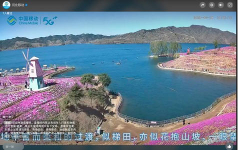 基于安防摄像头的慢直播技术浅析