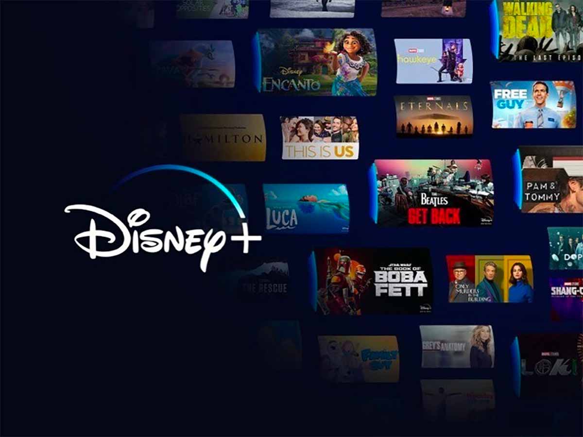 Disney+ 的订阅用户总数为 1.126 亿，比上季度增加了 7%