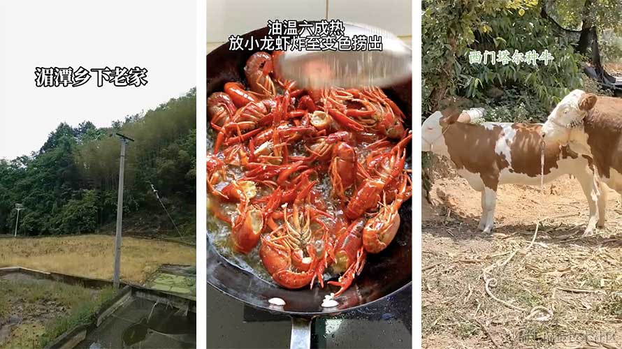 抖音为何要不断提升画质体验？