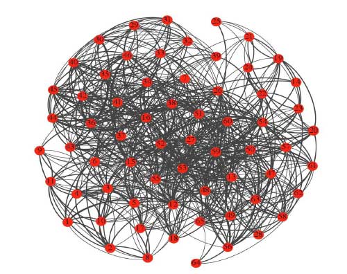 高阶网络牵制控制中单纯形的选择 | 武汉大学周进等