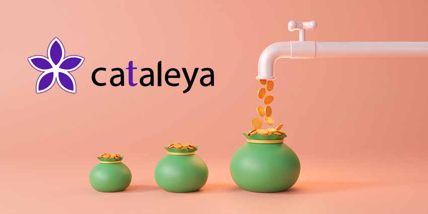 释放 SBC 的潜力：从必要之恶到创收助推器