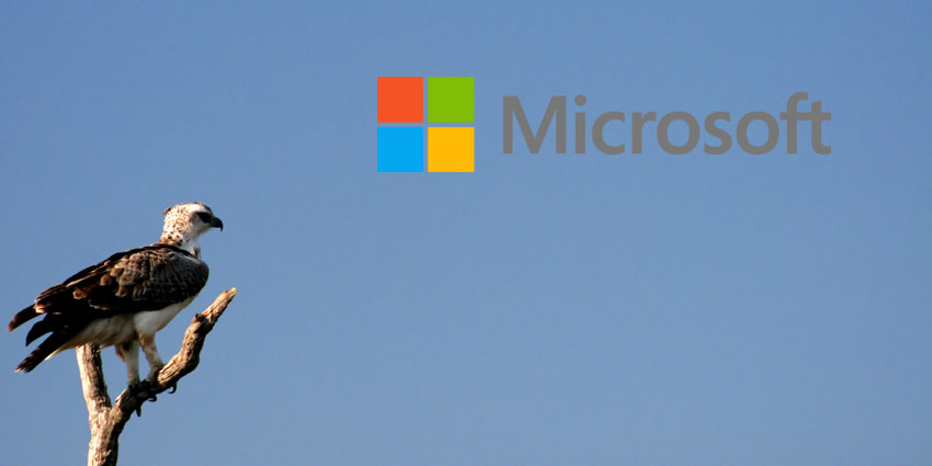 微软在联络中心的崛起？2024 年可能会到来