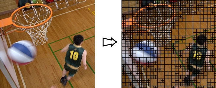 ELECARD 视频压缩手册第一章：视频编码简述