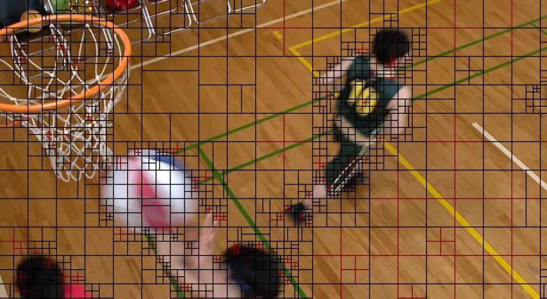 ELECARD 视频压缩手册第二章：HEVC 中的帧间预测