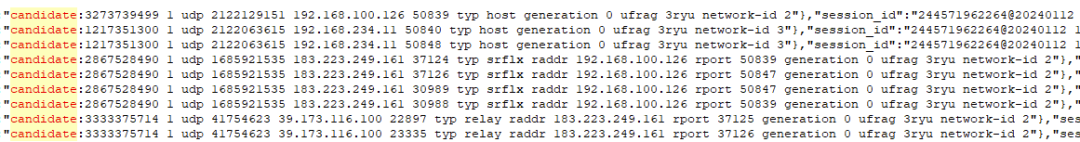 WebRTC中的ICE流程介绍