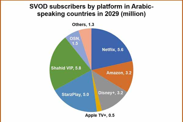 新研究预测，到 2029 年 Netflix 将失去阿拉伯市场的头把交椅