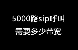 5000路sip呼叫需要多少带宽
