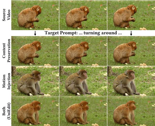 UniEdit：无需训练的统一视频运动和外观编辑框架