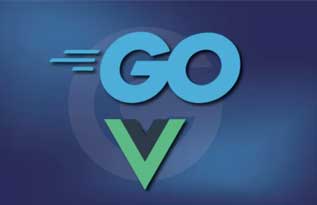 使用 Go 和 Vue.js 构建实时聊天应用程序