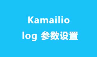 Kamailio 各种 log 参数设置