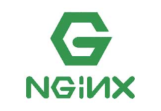 Nginx 1.26 发布，试验性支持 HTTP/3