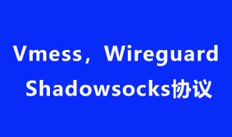 一文看懂 Vmess，Wireguard 和 Shadowsocks 协议