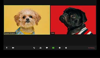 WebRTC RTCPeerConnection：新视频通话应用中对等连接的秘密