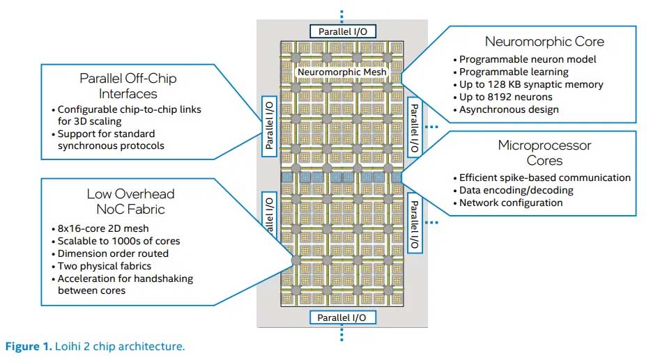 紧凑但强大：Intel N-DNS Challenge 冠军方案解析
