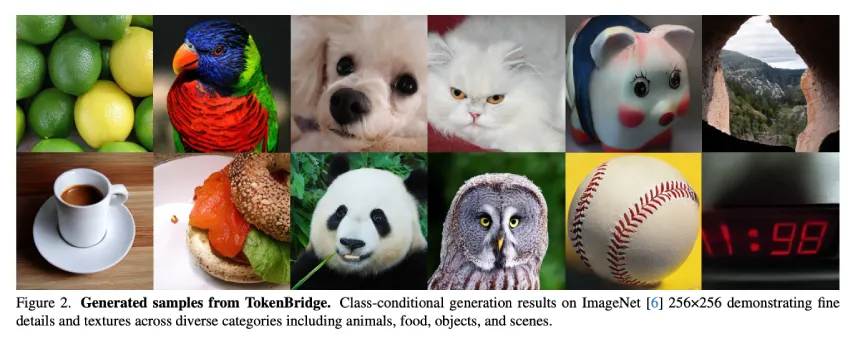 TokenBridge：弥合可视化生成中连续和离散token表示法之间的差距