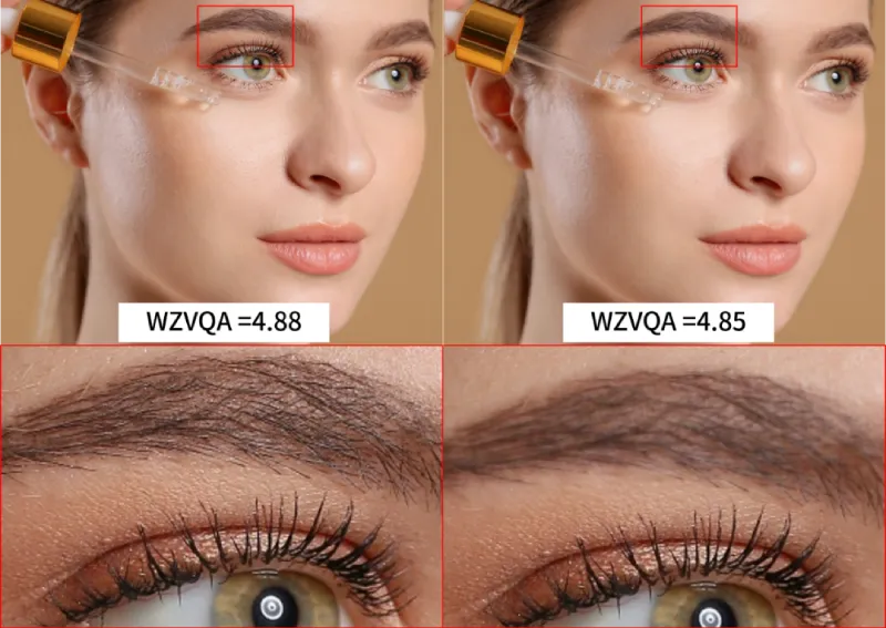 微帧WZVQA：极致还原人眼感知，精准评估视频画质