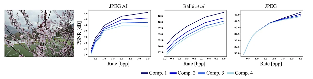 JPEG AI 模糊了真实与合成之间的界限