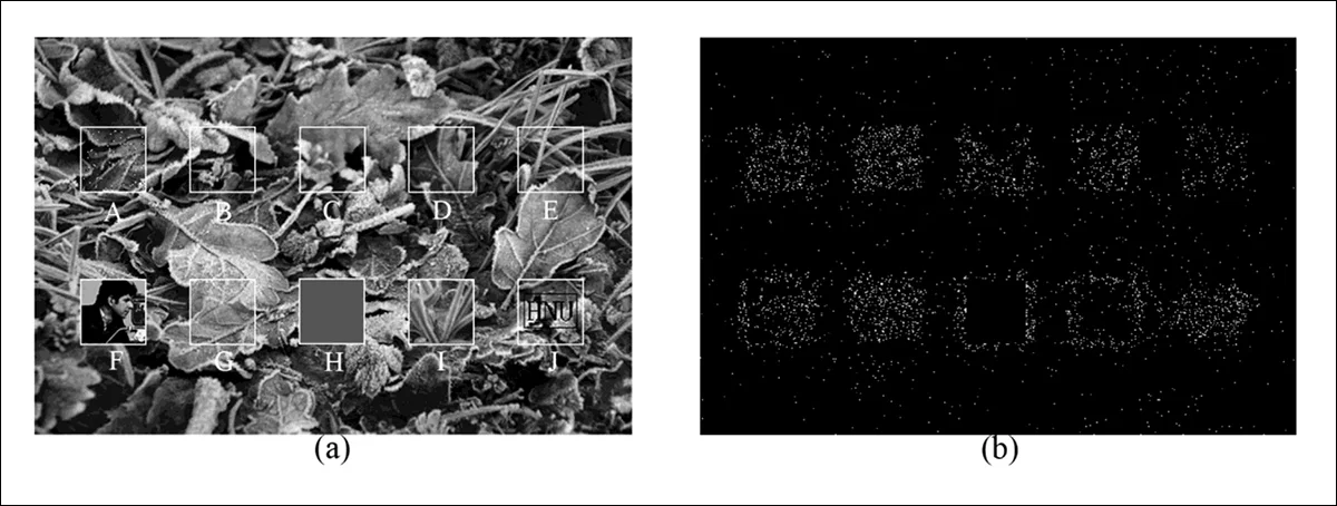 通过简单的 JPEG 压缩实现图像的自我验证