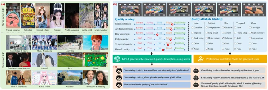 基于多模态大模型的细粒度视频质量评估方法 | CVPR 2025 Highlight