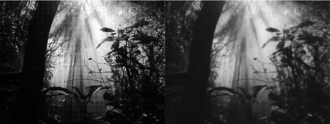 探索 FFmpeg Basics 音视频技术（8）： 模糊、锐化与其他降噪技术