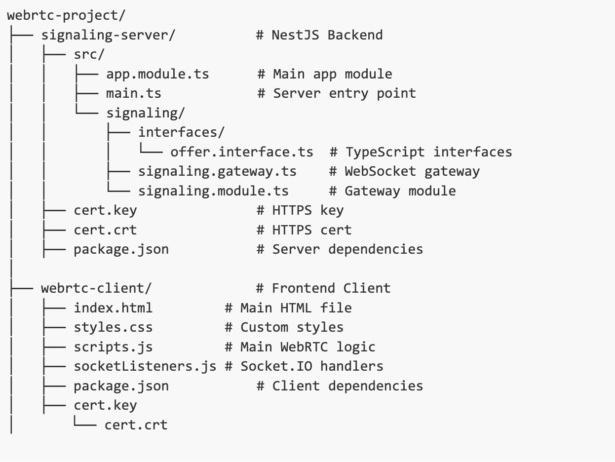 如何使用 NestJS 作为 WebRTC 视频聊天的信令服务器