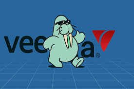 Walrus 和 Veea Inc. 合作增强去中心化数据存储和边缘基础设施解决方案