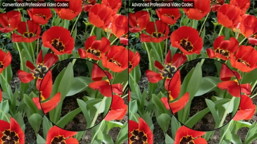 三星 APV 编解码器详解:Galaxy S26 系列将如何应对 Apple ProRes