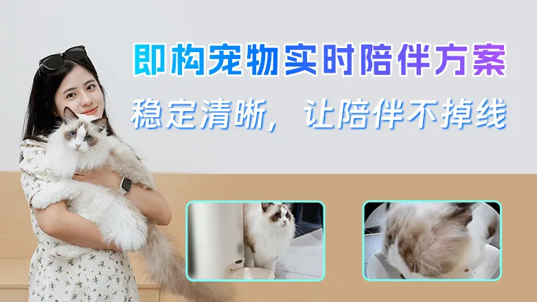 即构科技宠物实时陪伴方案，打造宠物 IoT 市场新增长点