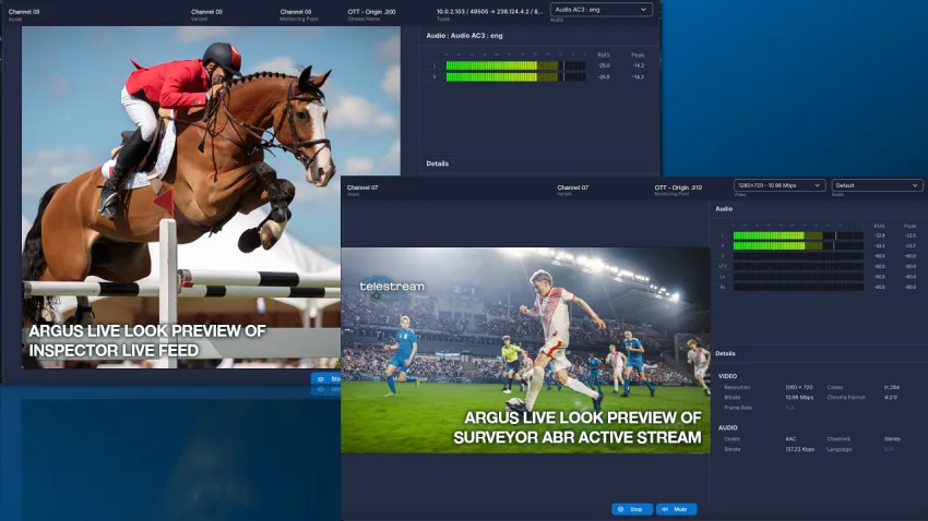 Telestream 推出 ARGUS v2.3，新增实时流验证功能Live Look