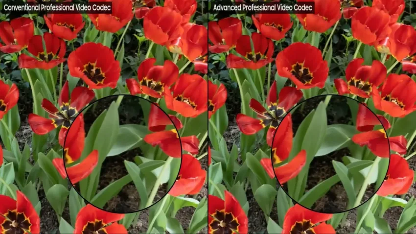 DaVinci Resolve 现在支持三星的 APV 视频编解码器