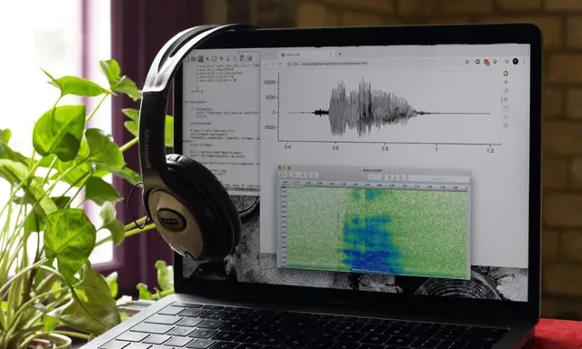 AI 语音数据集如何助力打造自然流畅的语音系统