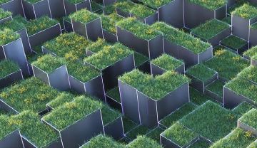 统一通信的可持续性：致 IT 领导者的行动号召