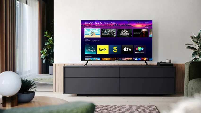 Roku全球流媒体用户突破1亿家庭用户