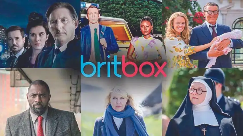 流媒体平台为何正抓住当下机遇